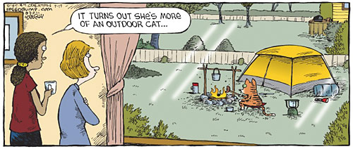 David Coverly cartoon - outdoors cat