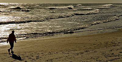 A walk on the beach