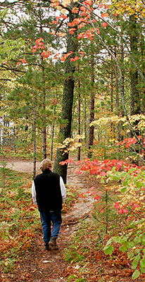 A walk in the leaves